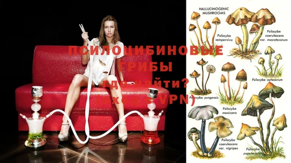 спиды Баксан