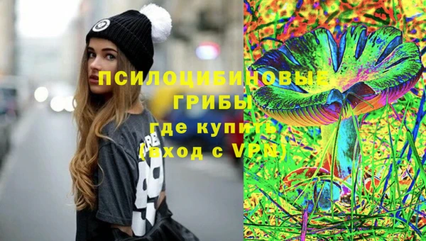 мет Арсеньев