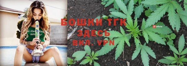 apvp Аркадак