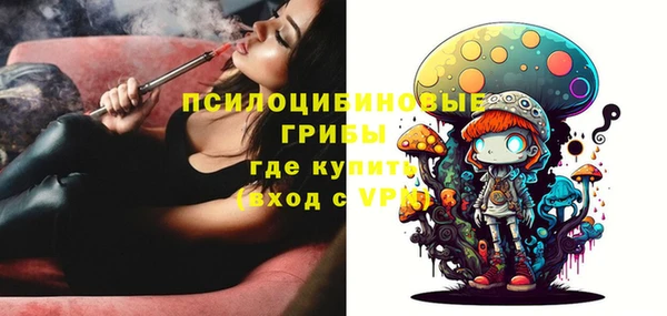 мет Арсеньев