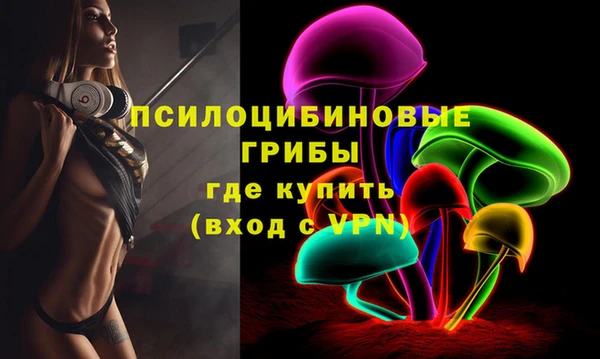 apvp Аркадак