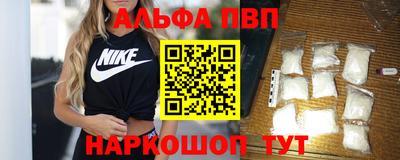 гашик Кингисепп