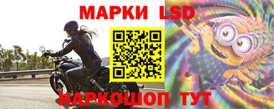 гашик Кингисепп