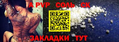 гашик Кингисепп