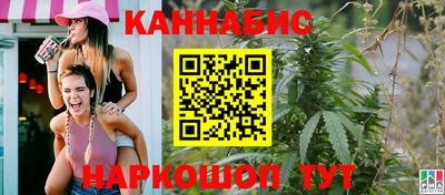 гашик Кингисепп