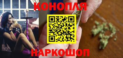 гашик Кингисепп