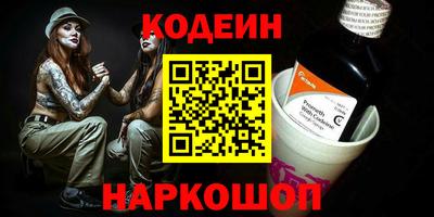 гашик Кингисепп