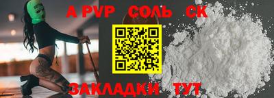 гашик Кингисепп