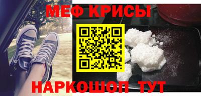 гашик Кингисепп