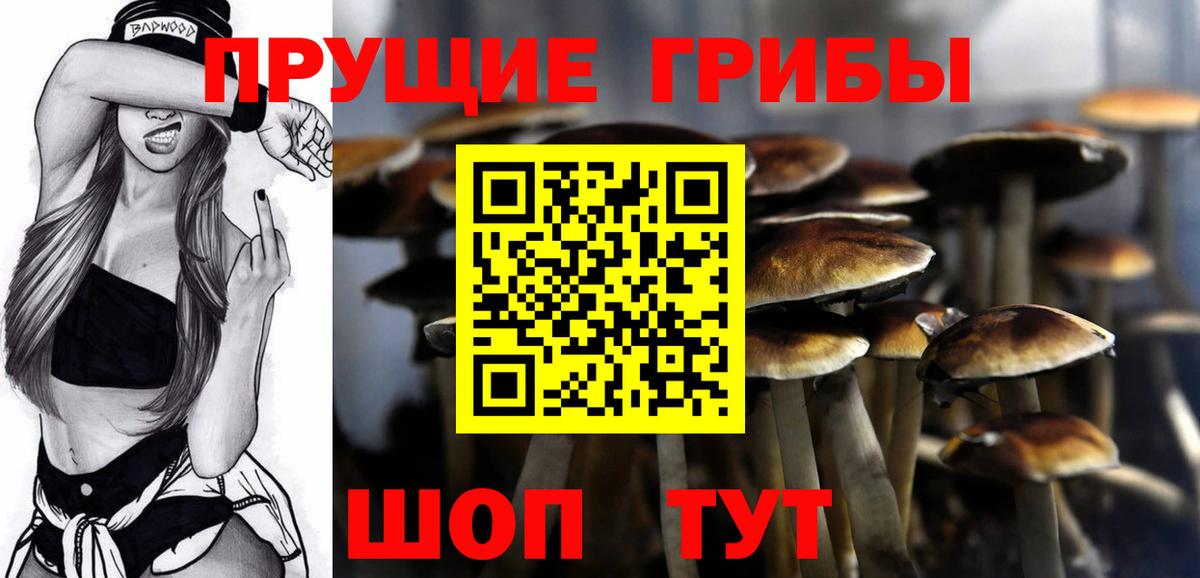 Коломна  Галлюциногенные грибы GOLDEN TEACHER  Вход с VPN  Галлюциногенные грибы ЛСД 